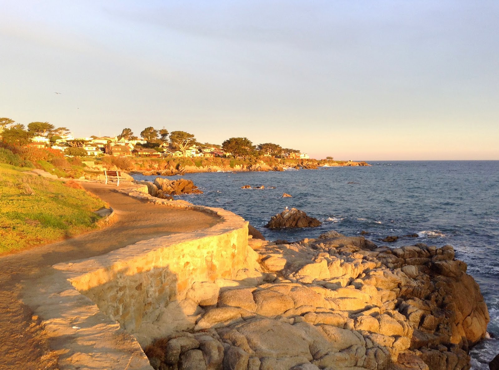 Towncrafting by James Dougherty Perkins Park Pacific Grove, CA