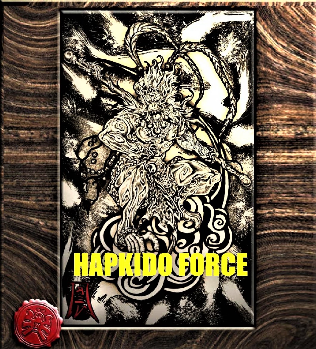 Hapkido Force Link