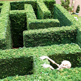 One-twelfth scale miniature garden maze with a skeleton inside