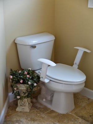 http://www.essenlux.com/products/comfort-arms-armrests-for-the-toilet
