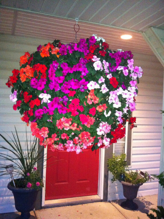 BLOOMERS BLOOM VANCOUVER HANGING BASKETS (604) 818 2819 CALL US. FREE