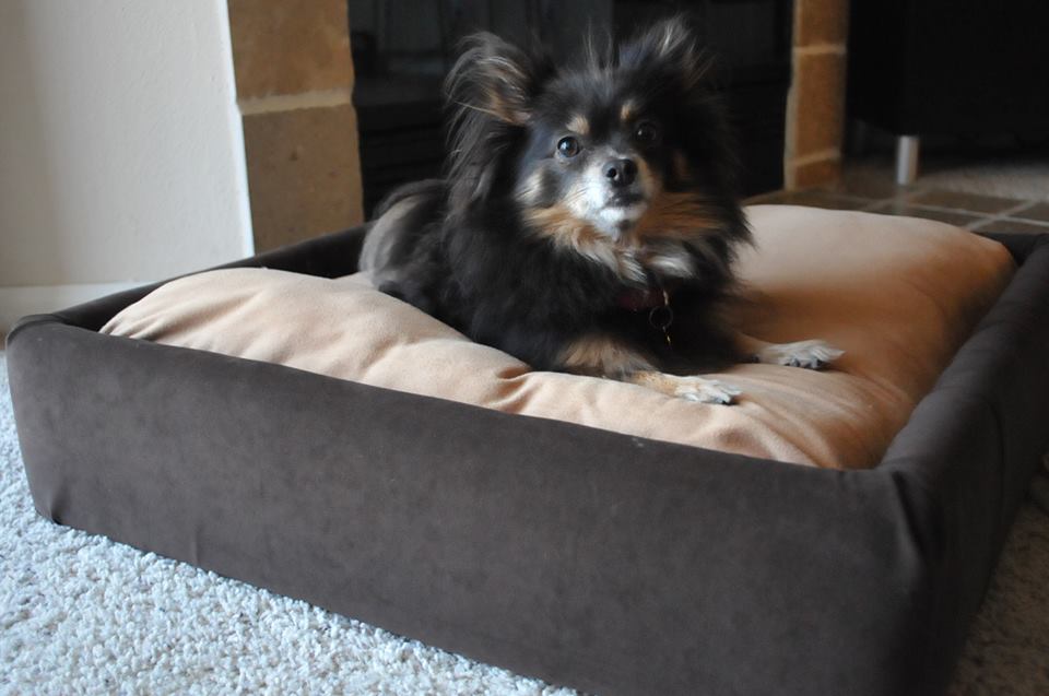 DIY Upholstered Dog Bed Nana Next Door