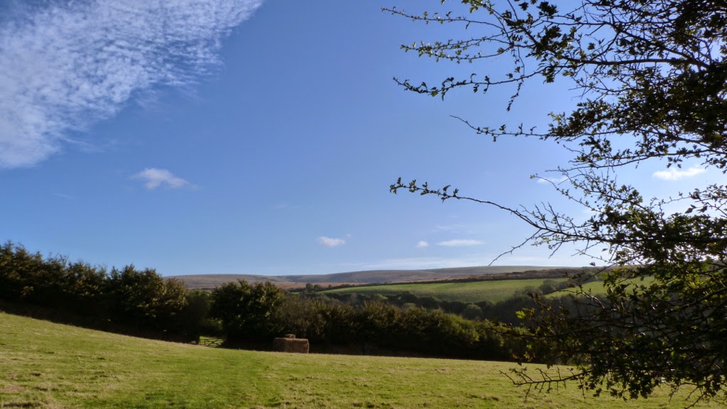 Stock Wood Farm, 45 acres of Stunning Exmoor Land For Sale Grazing