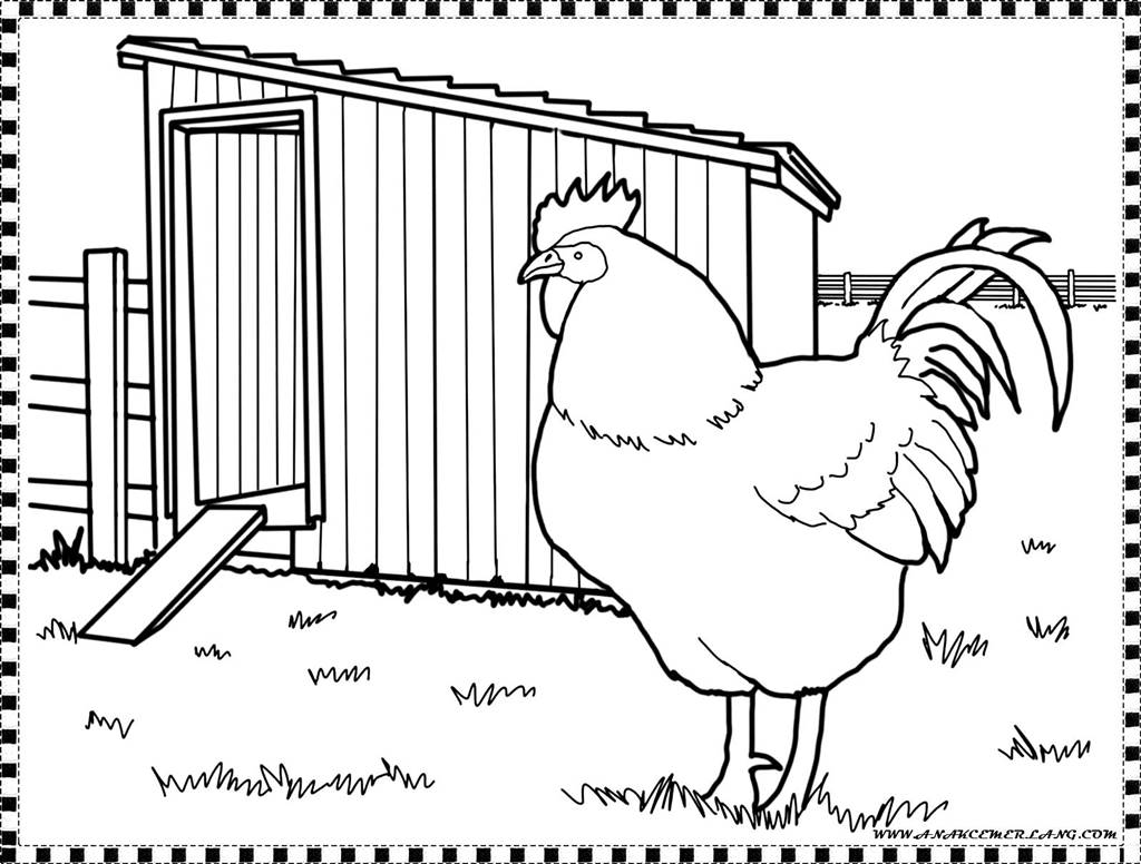Gambar Kartun Ayam Dan Telur | Aliansi kartun