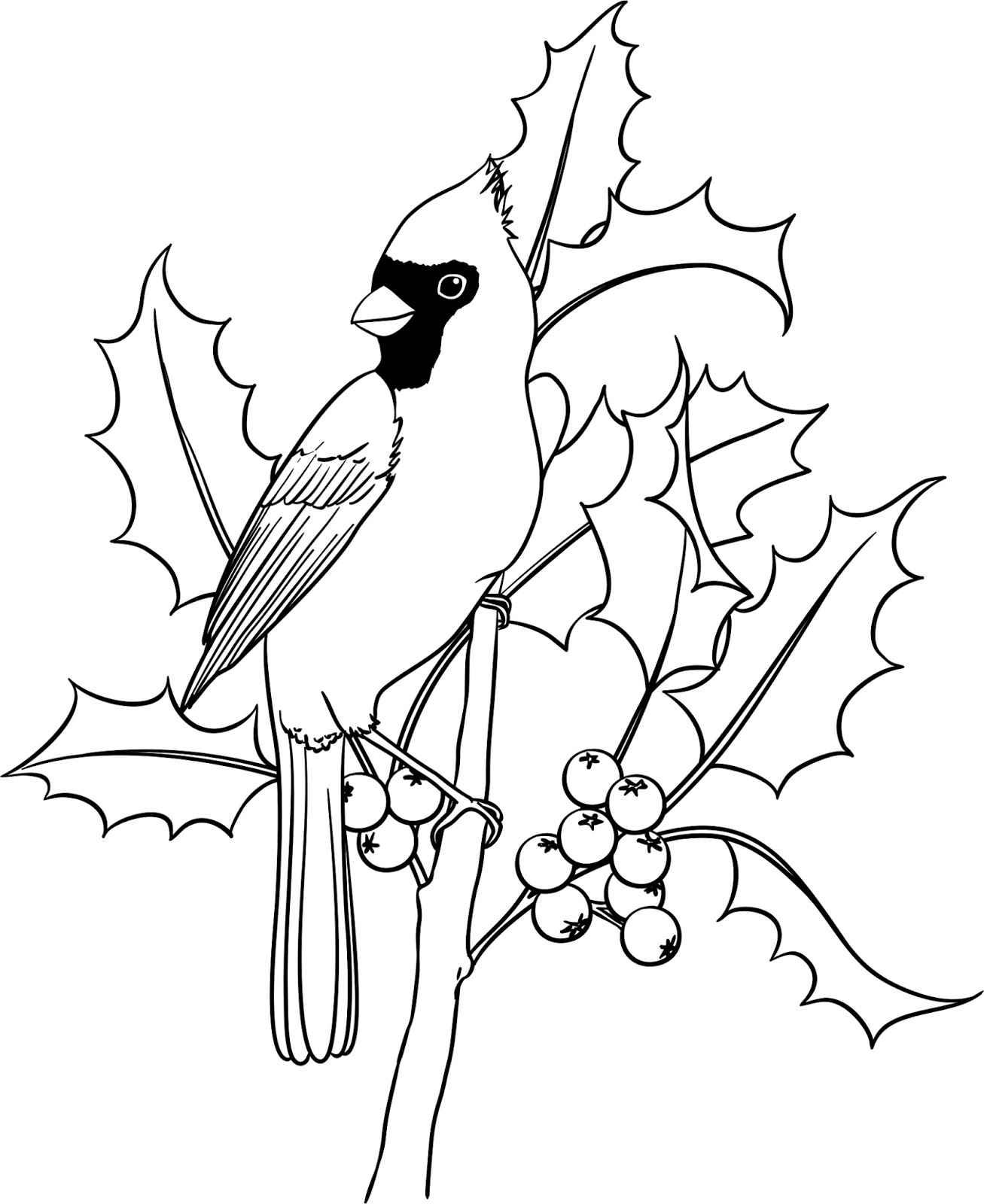 349 Cute Christmas Bird Coloring Pages for Kindergarten