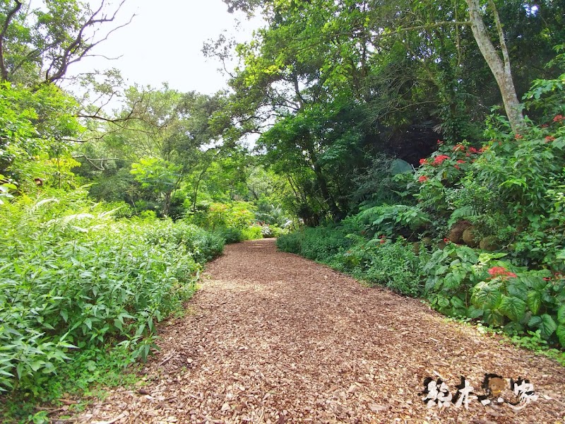 蝴蝶生態區步道|飛牛牧場~唯美自然系IG景點
