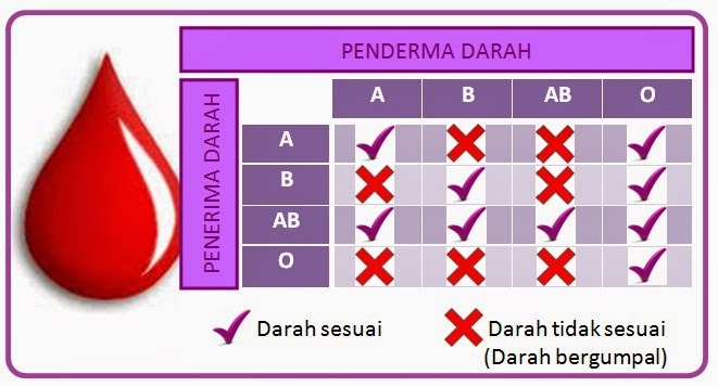 Penderma universal