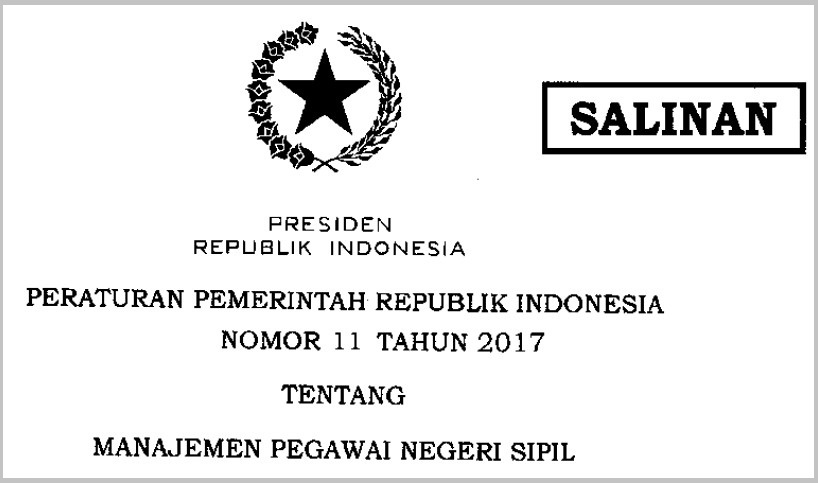 Peraturan Pemerintah (PP) Nomor 11 Tahun 2017 tentang Manajemen Pegawai