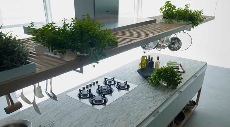 Going Green in the Kitchen: Simple Swaps for More Sustainable Eating