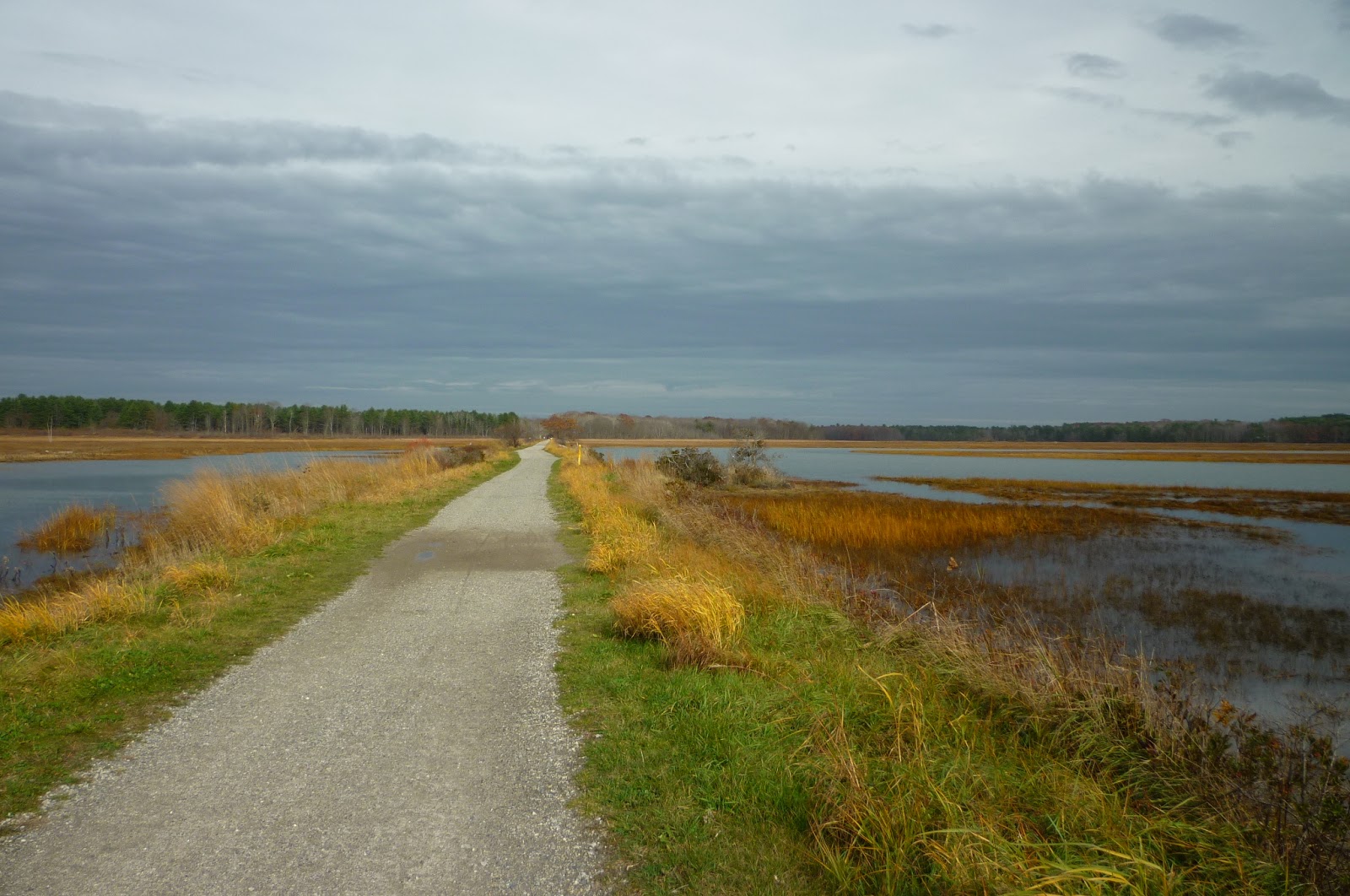 Daily Pics photographs by CarenMarie Michel Scarborough Marsh and