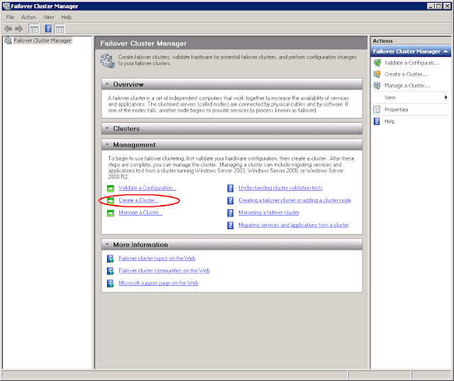 Musings on Information Technology - A view from the trenches: December 2011