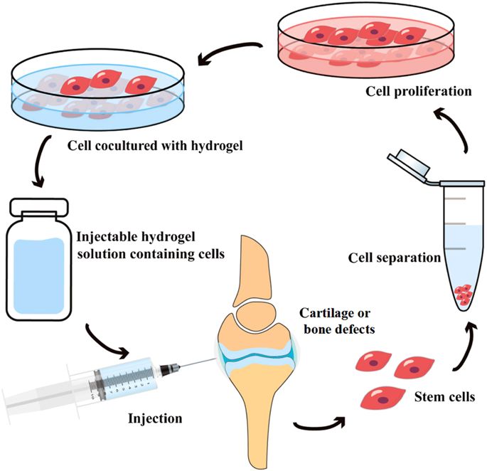 International Conference on (CPD Accredited) Tissue Science and