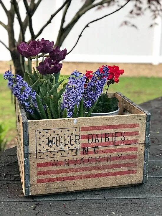 Crate filled with flowers for fourth of july