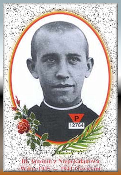 blaženi Anton (Jan Evgenij) Bajewski duhovnik, redovnik in mučenec