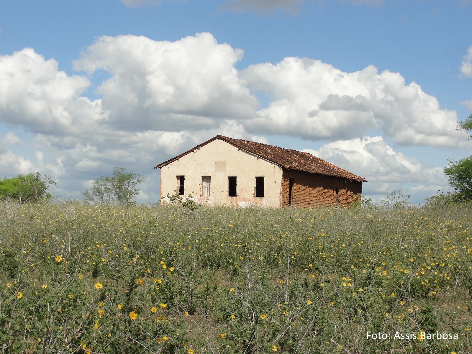 TERRAS NORDESTINAS De Japi a Monte