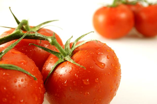 Manfaat Tomat Bagi Tubuh