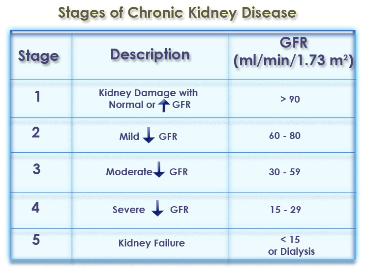 rsidefenser-why-use-gfr-as-a-measure-of-kidney-function