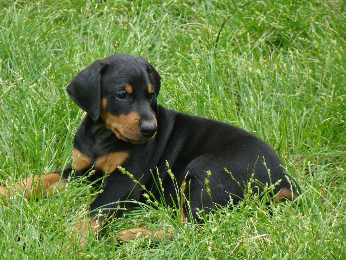 DJ SpideR - Protector Głogw 20082011 Część 1 - YouTube