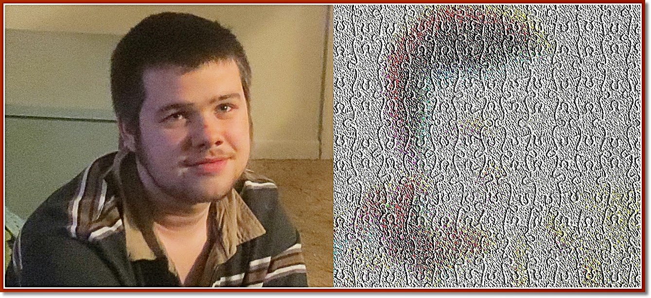 Facing Autism in New Brunswick Emily Willingham Uses SFARI Pulpit To