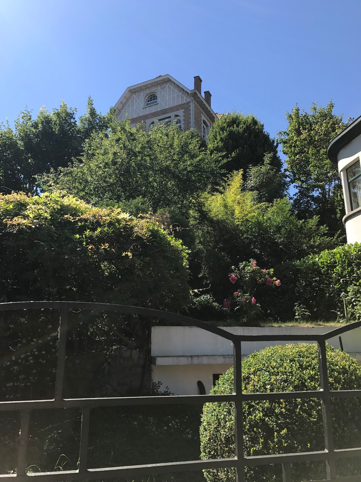 Porsche Im Renn Tv Motor Und Sportblog Von Mike Frison