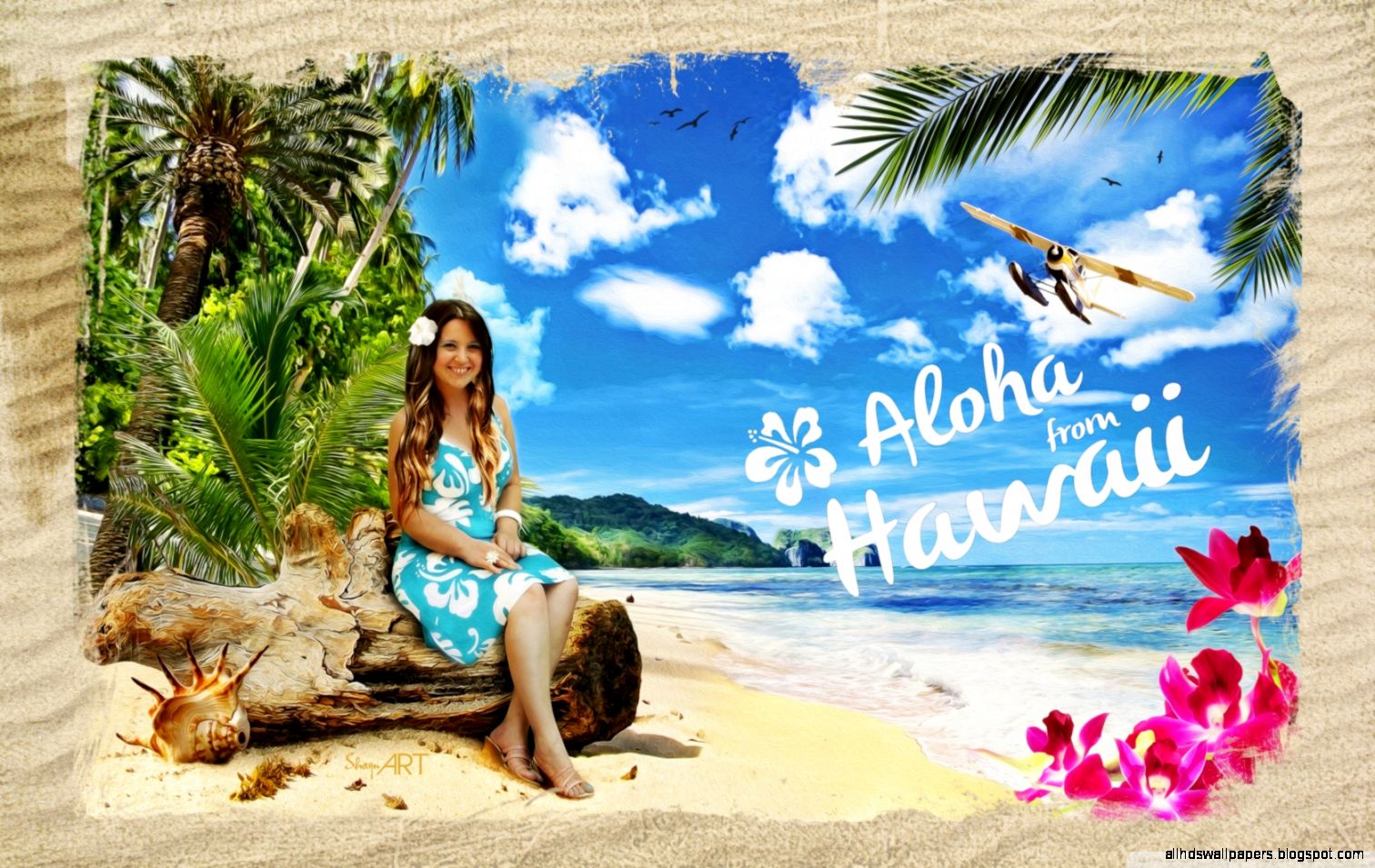 Aloha from Hawaii HD desktop wallpaper  Widescreen  High