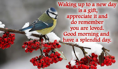 good morning good morning