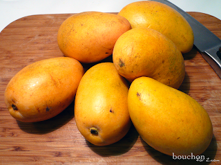 mango barranquilla maduro besos dina pardo