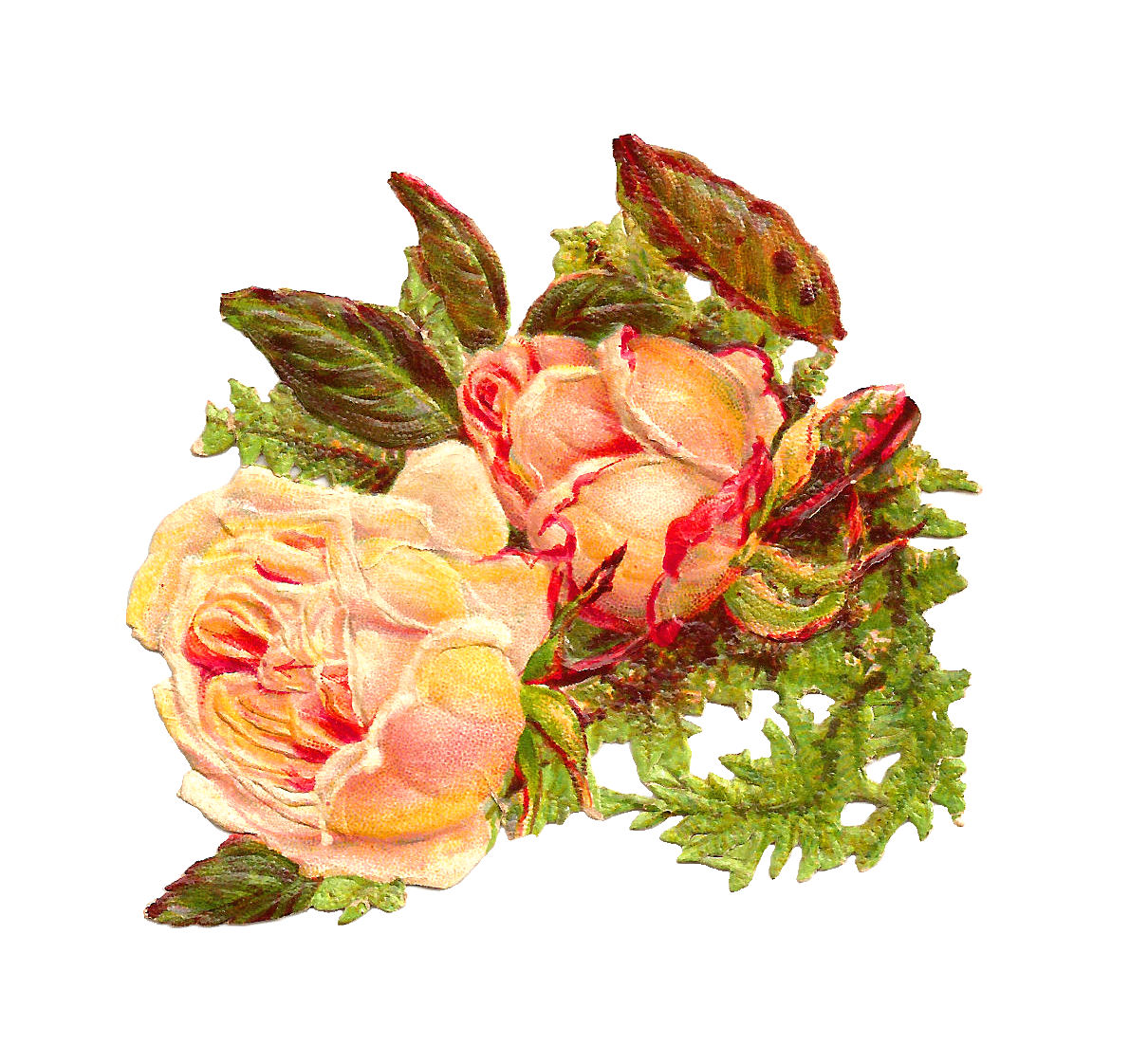 yellow roses pictures clip art - photo #42