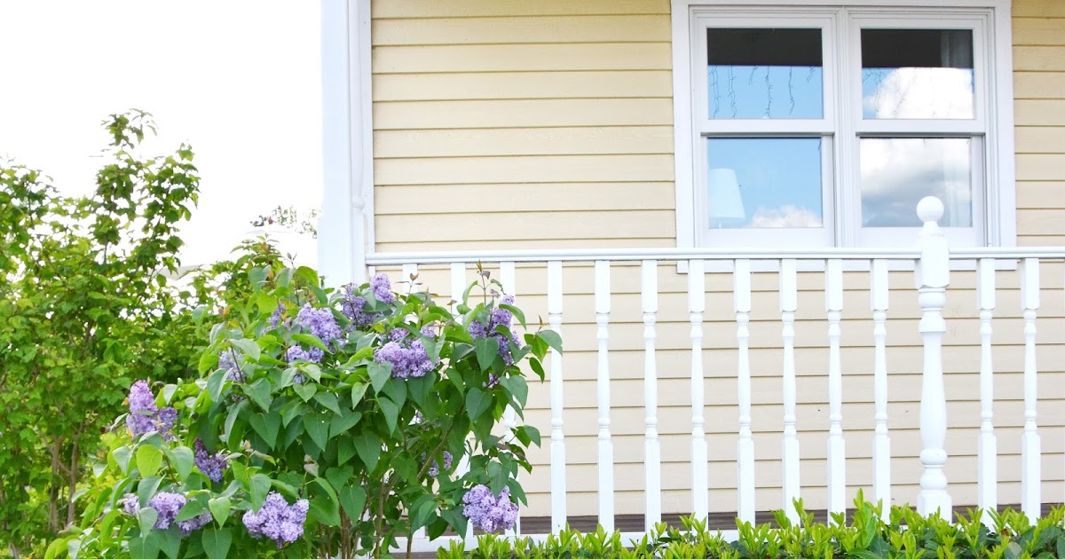 Ein Blick in meinen Vorgarten - Eclectic Hamilton