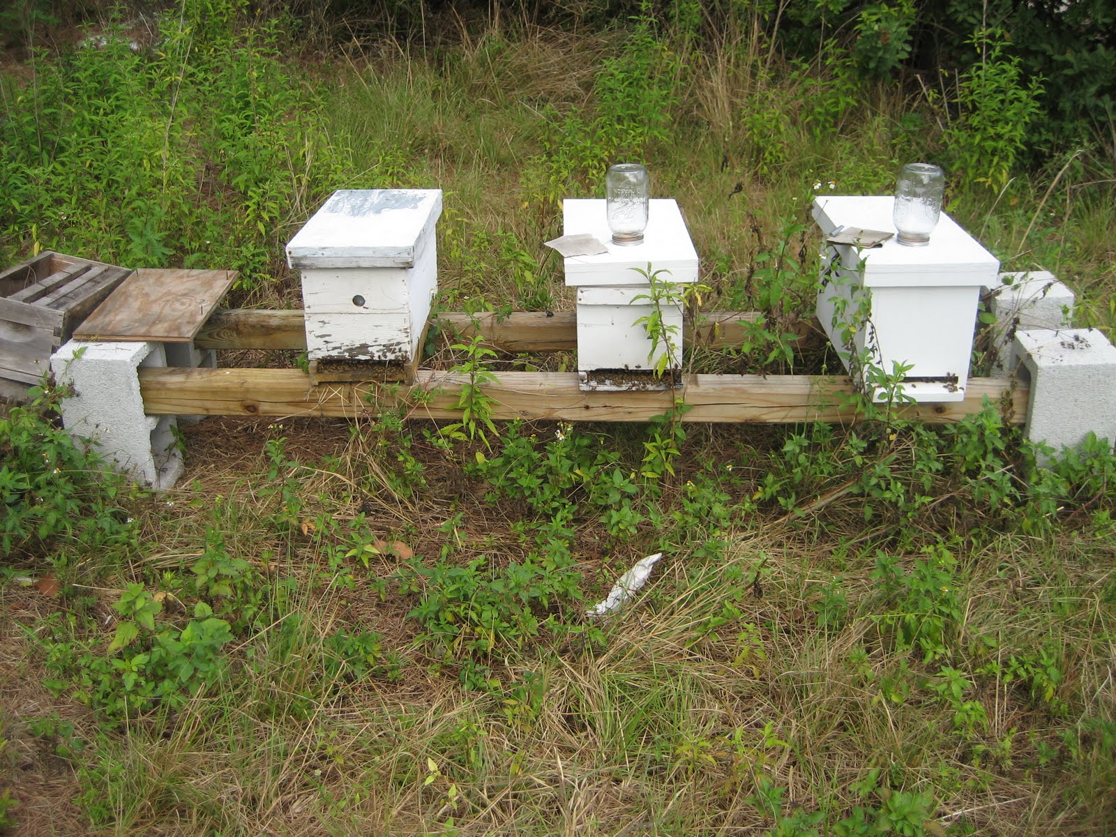 Wooden Bees 043011 Visit To An apiary 