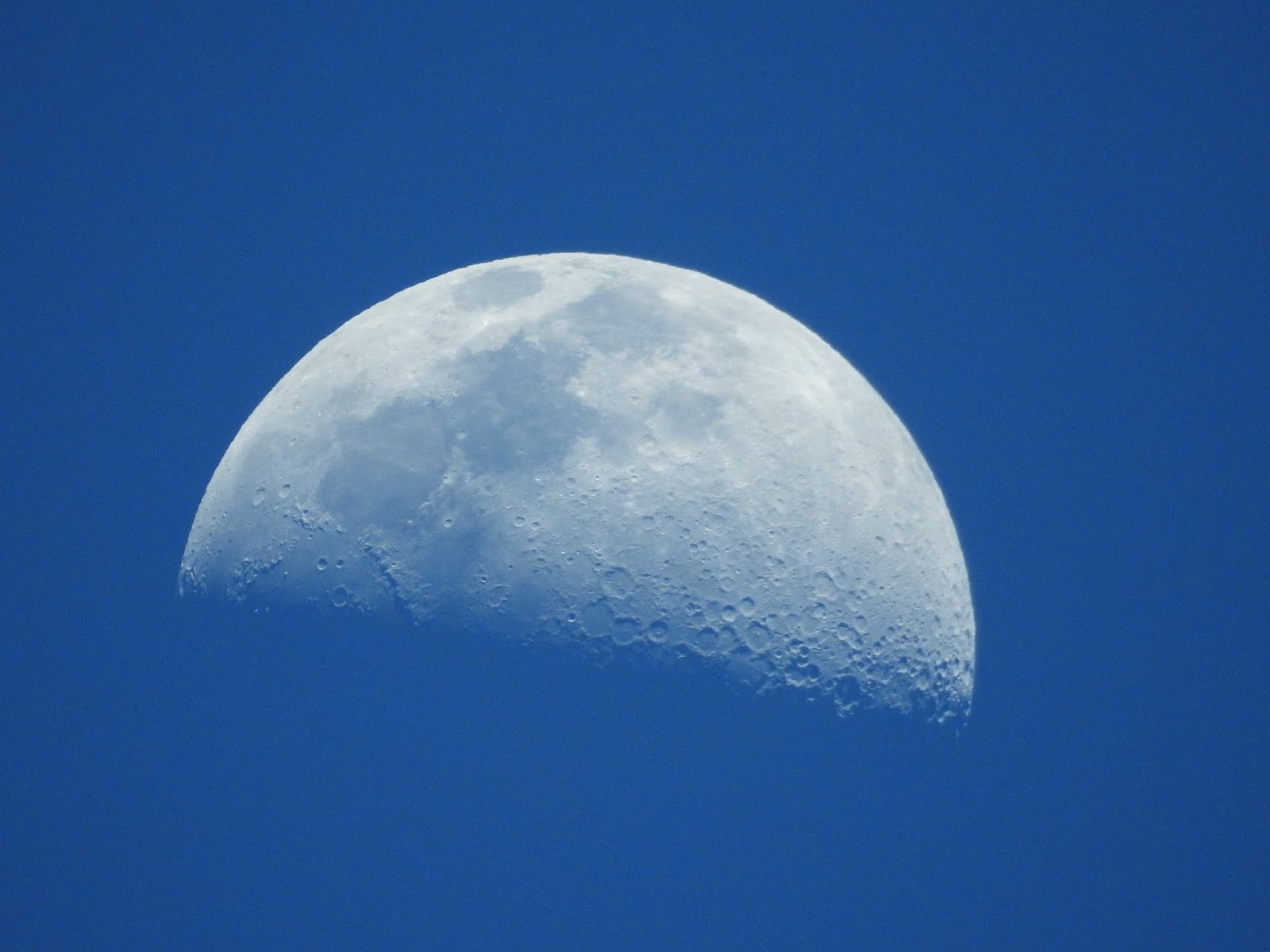 Nikon P900 Moon zoom during the day