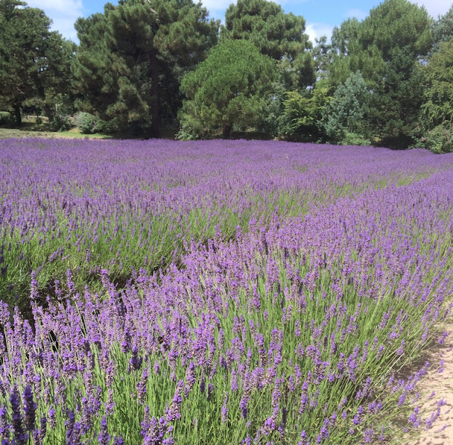 Are You Looking For Inspiration For Background Browse Around This