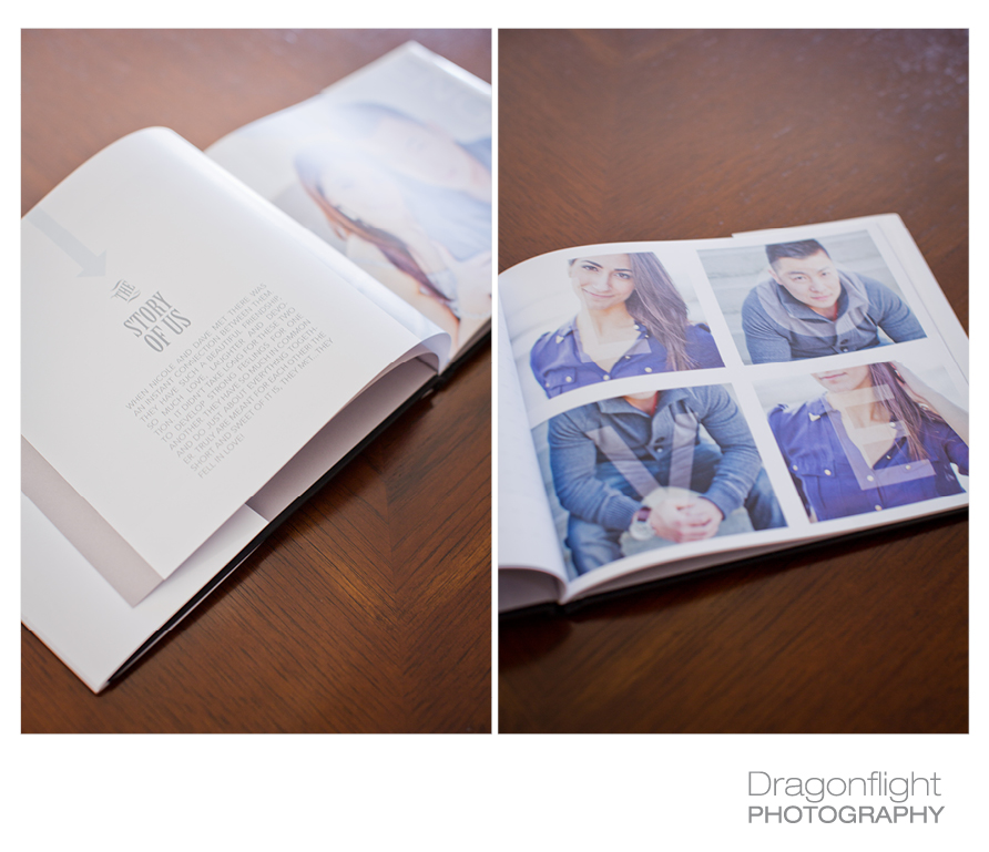 Dragonflight Photography Vancouver, Langley, Victoria and Destination