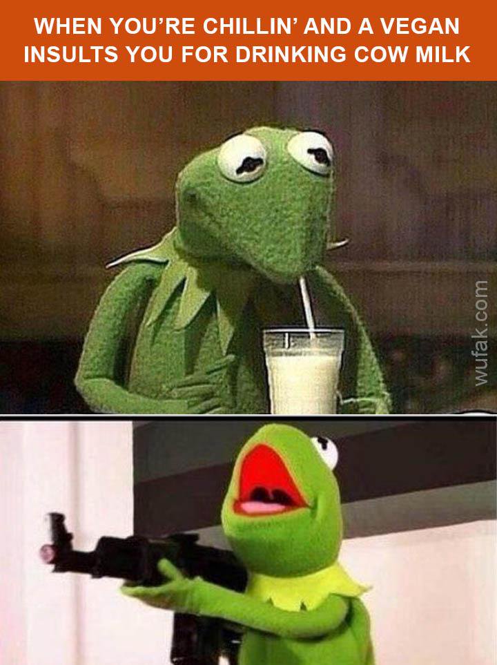kermit the frog meme creator kermit the frog meme creator