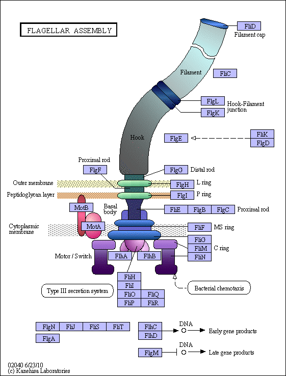 Armchair Biology KEGGWatch, part I