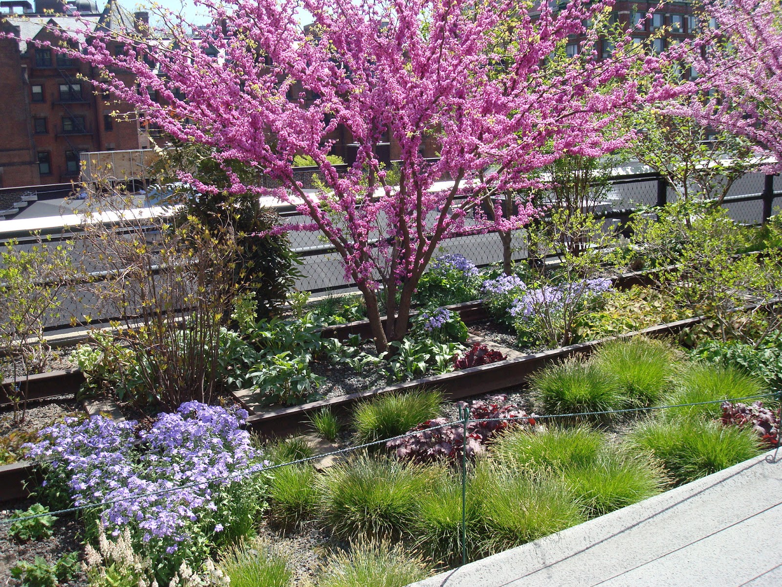 prosegarden: A Garden High on New York City