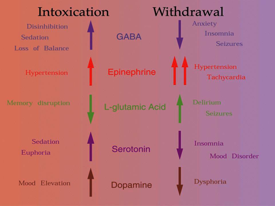 Life Liveliness Estimating the alcohol withdrawal symptoms loop since