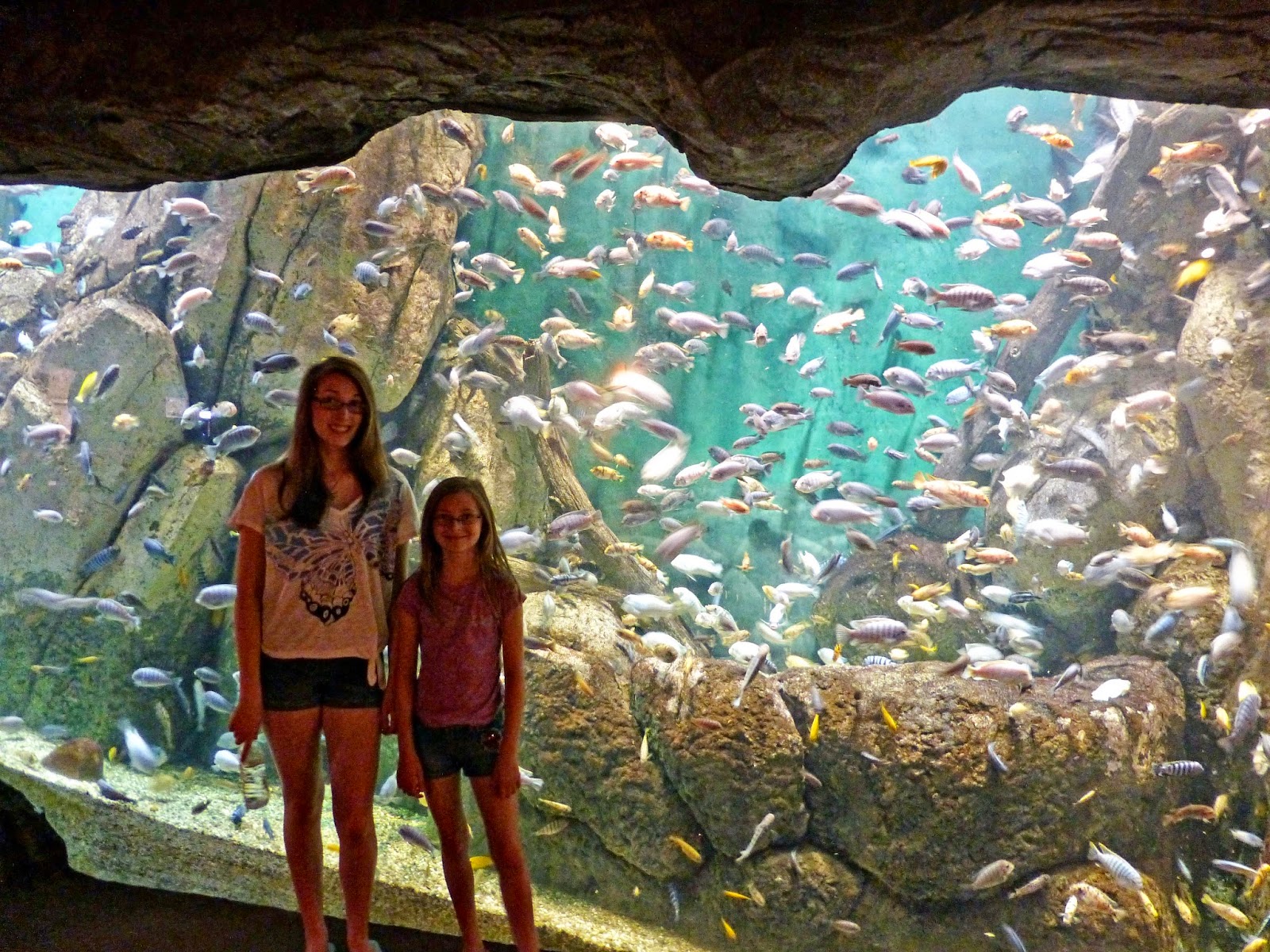 zoo aquarium
