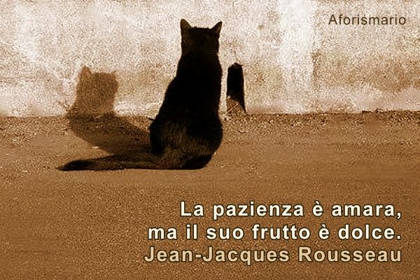 Chi come risposte di peso efficacemente perse