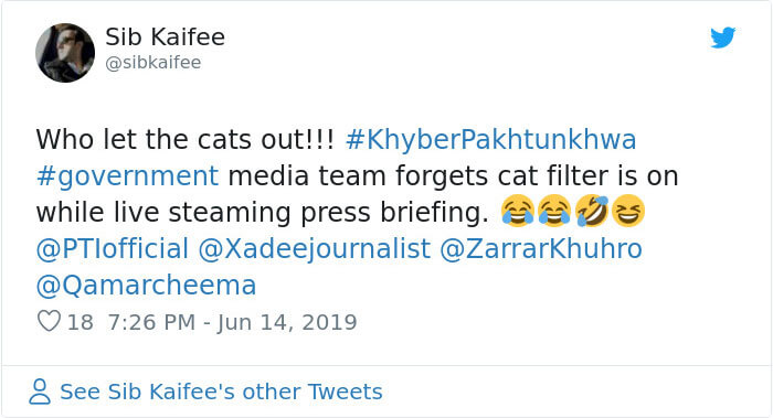 Pakistani Government Officials Forgot To Turn Off The Cat Filter During Facebook Live Pakistani Government Officials Forgot To Turn Off The Cat Filter During Facebook Live