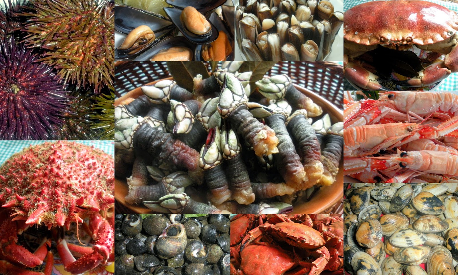 Aquí se cocina Mariscos, métodos y tiempos de cocción