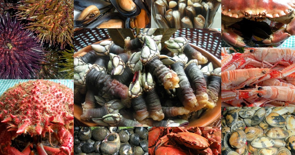 Aquí se cocina Mariscos, métodos y tiempos de cocción