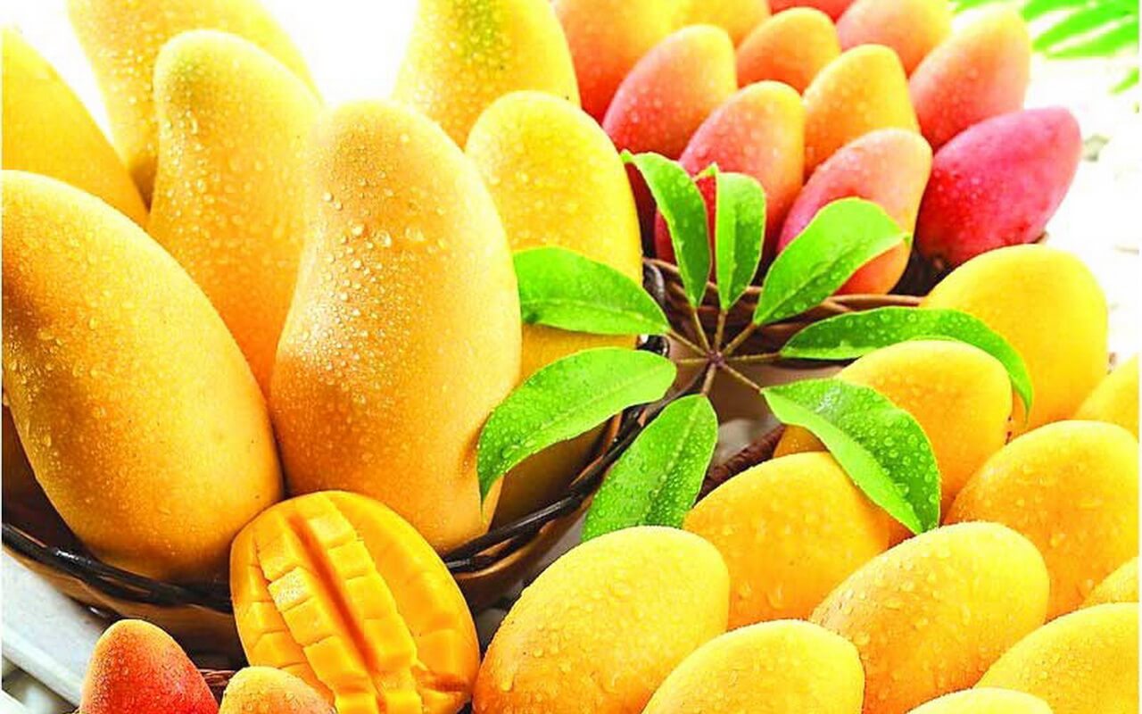 Free Download Mango Wallpaper & Images In High Resolution