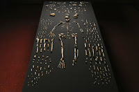 Homo naledi, conjunto de ossadas