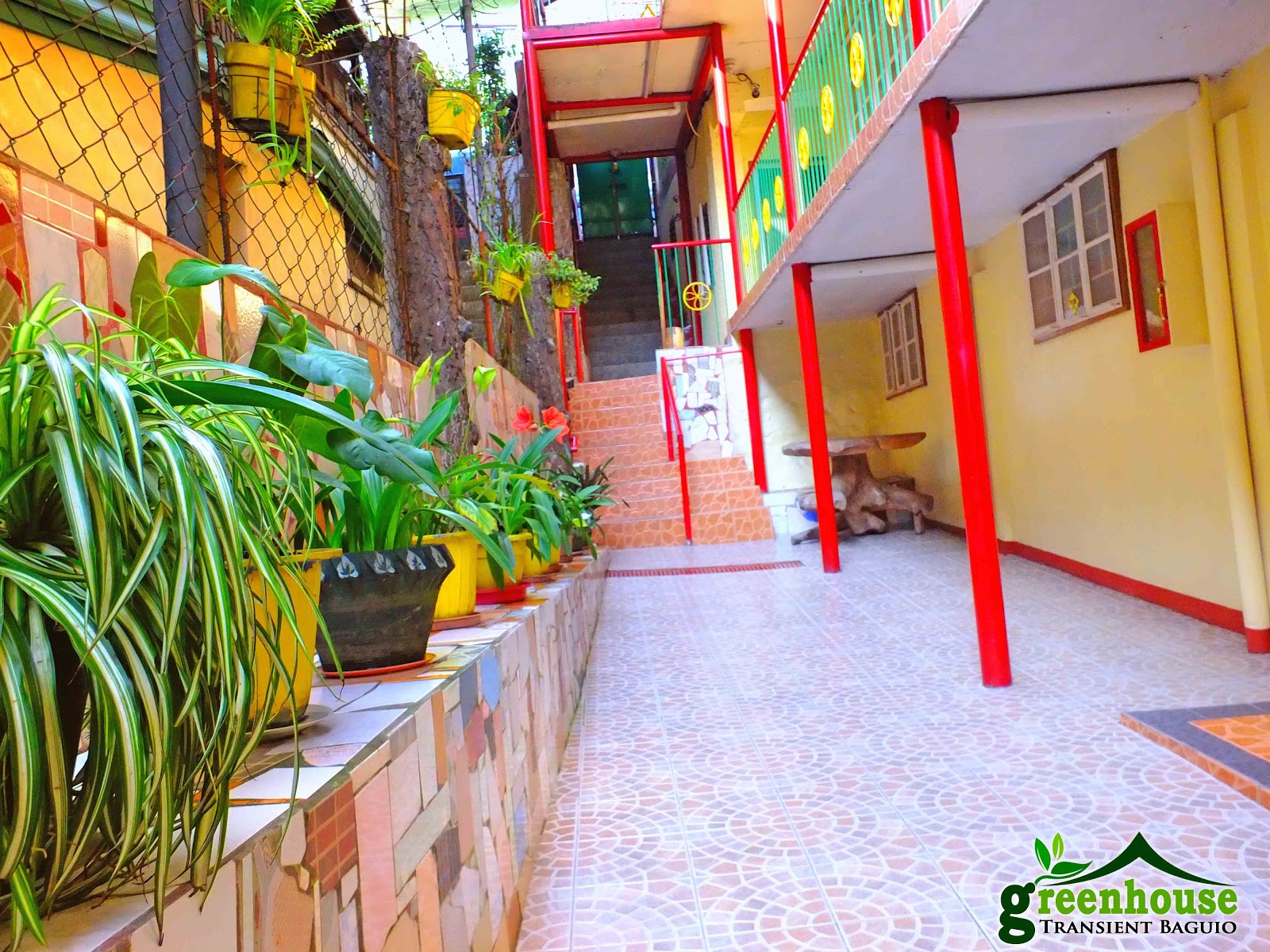 Transient houses alternative in the city of pines