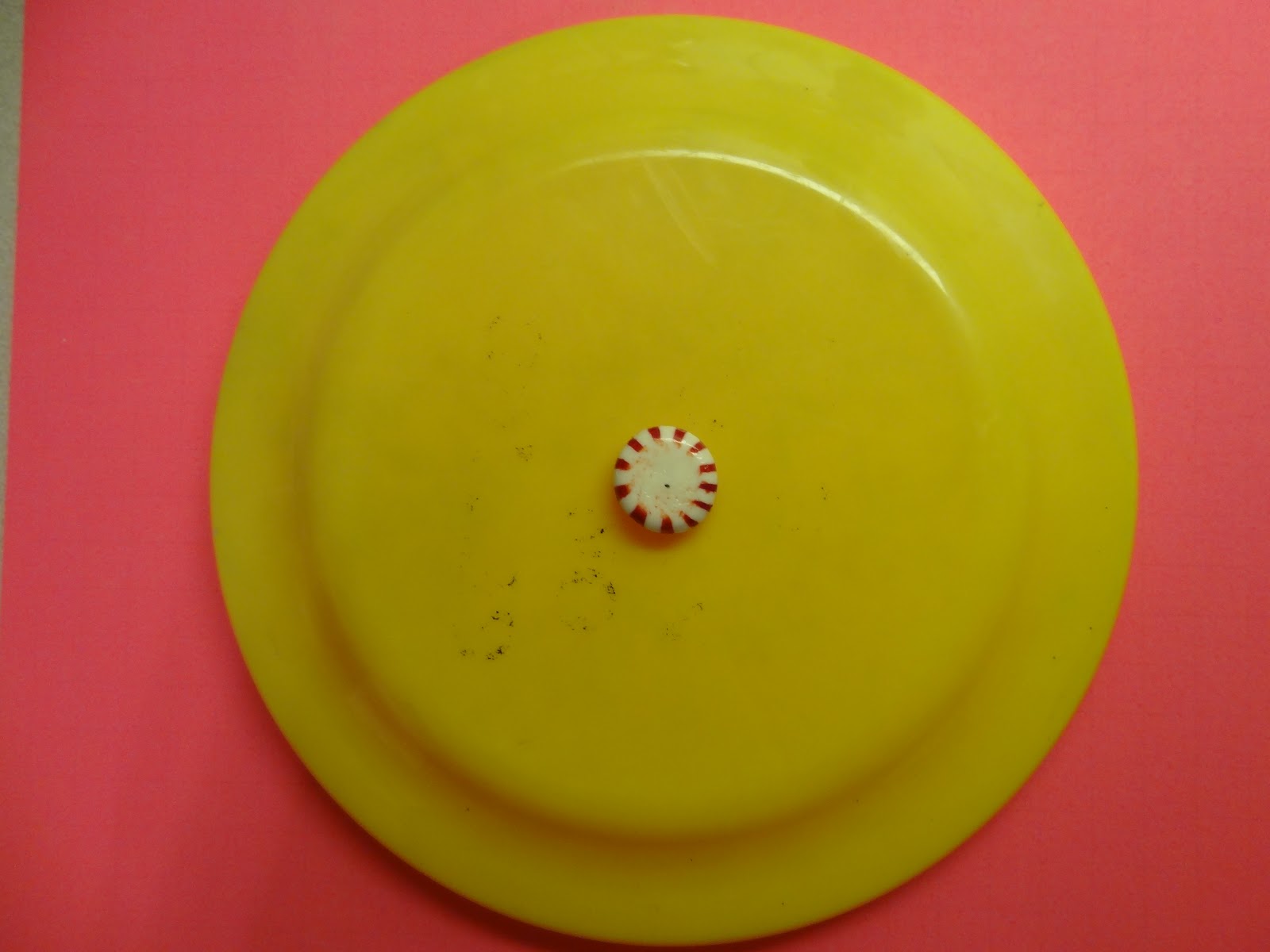 Live and LearnToss and Turn Disk vs. Disc