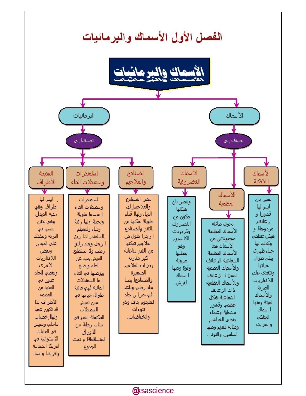 مطوية رياضيات ثاني متوسط الفصل الاول