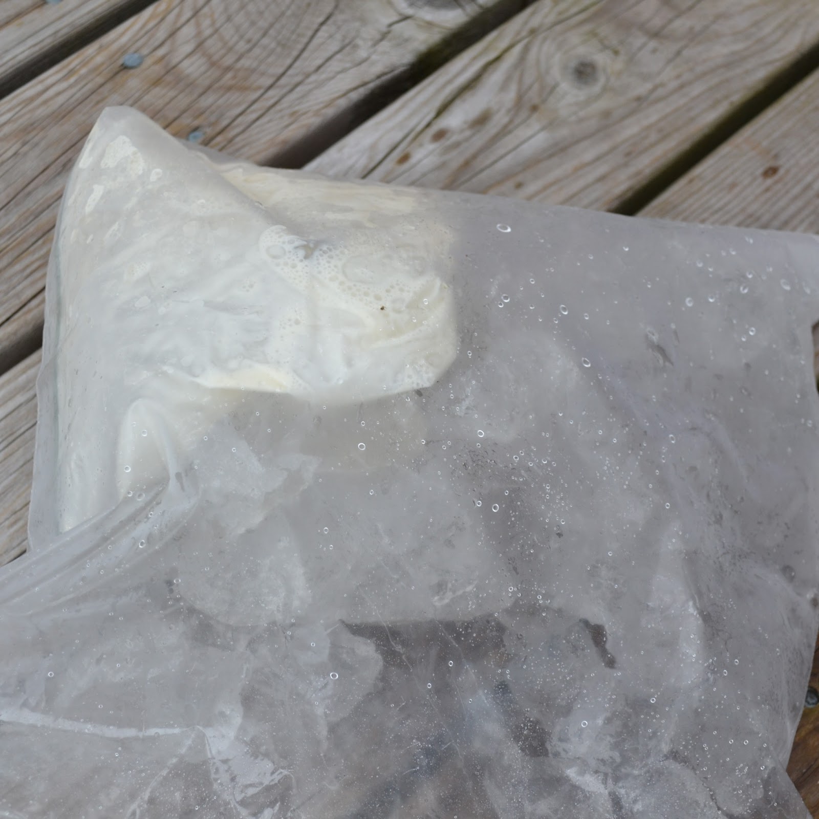 East Coast Mommy Making Ice Cream in a Bag