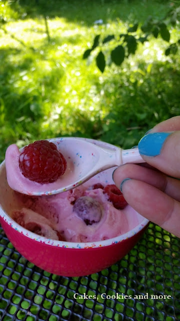 Frozen Raspberry Yoghurt (Himbeer-Joghurteis)