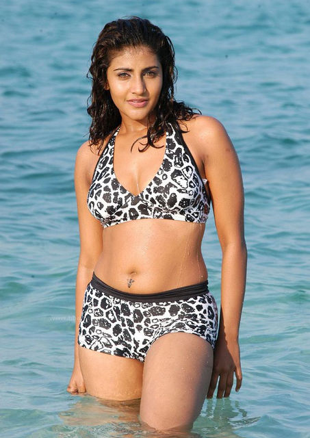 normal_kausha